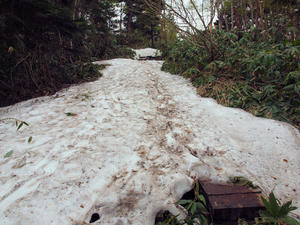20100608_654shuusei.jpg