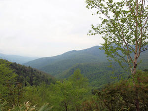 20100608_665shuusei.jpg