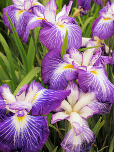 20100615_29shuusei.jpg