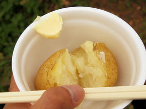 20100615_42shuusei.jpg