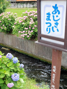 20100615_95shuusei.jpg