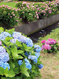20100615_93shuusei.jpg