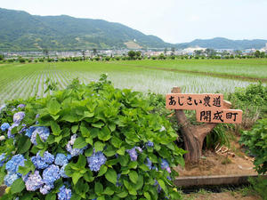 20100615_100shuusei.jpg