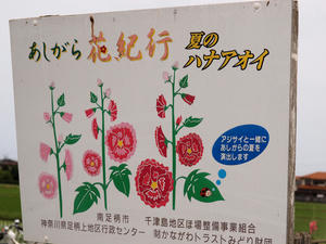 20100615_108shuusei.jpg