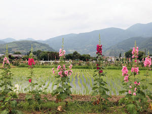 20100615_123shuusei.jpg