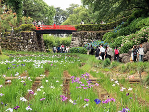 20100615_181shuusei.jpg
