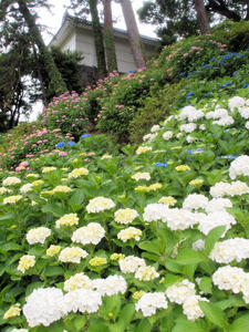 20100615_191shuusei.jpg