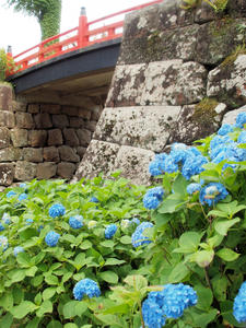 20100615_205shuusei.jpg