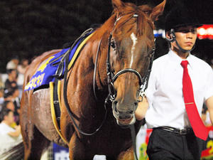 20100712_547shuusei.jpg