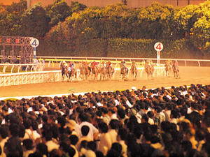20100712_582shuusei.jpg
