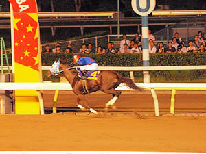 20100712_590shuusei.jpg