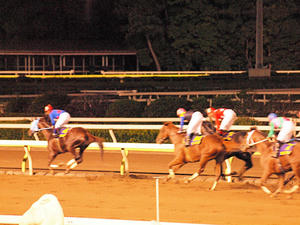 20100712_592shuusei.jpg
