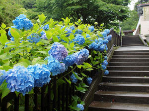 20100712_3shuusei.jpg