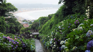 20100712_10shuusei.jpg