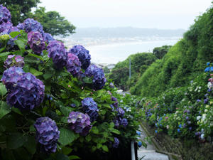 20100712_41shuusei.jpg