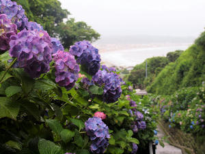 20100712_88shuusei.jpg