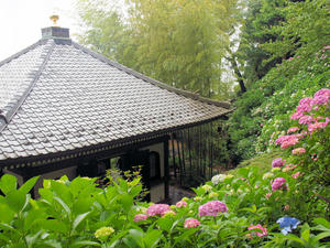 20100712_131shuusei.jpg