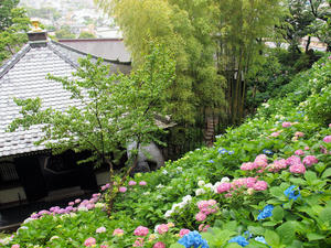 20100712_138shuusei.jpg