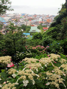 20100712_146shuusei.jpg