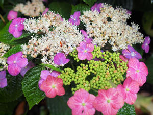 20100712_167shuusei.jpg