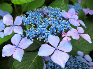 20100712_171shuusei.jpg
