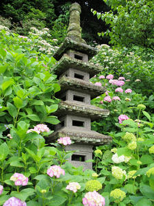 20100712_172shuusei.jpg