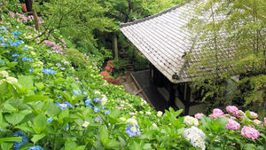 20100712_188shuusei.jpg