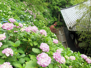 20100712_193shuusei.jpg