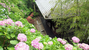 20100712_198shuusei.jpg