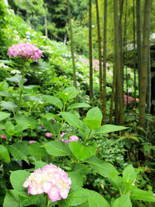20100712_202shuusei.jpg