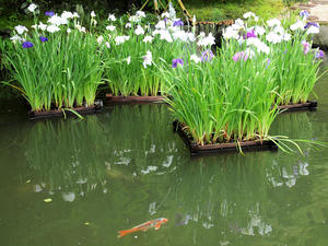 20100712_219shuusei.jpg
