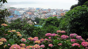 20100712_181shuusei.jpg