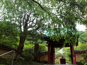 20100712_220shuusei.jpg