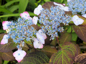 20100712_235shuusei.jpg