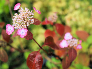 20100712_238shuusei.jpg