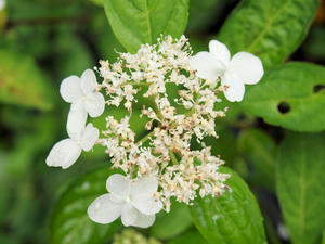 20100712_295shuusei.jpg