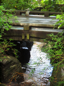 20100712_300shuusei.jpg