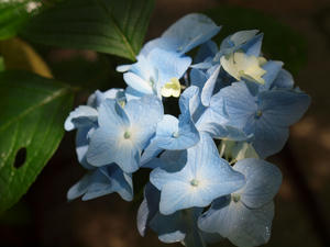 20100712_305shuusei.jpg