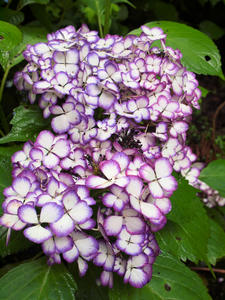 20100712_308shuusei.jpg