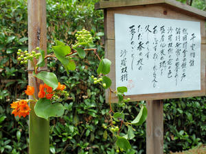 20100712_337shuusei.jpg