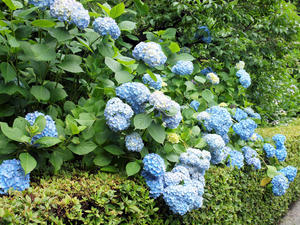 20100712_338shuusei.jpg