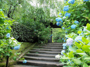 20100712_352shuusei.jpg