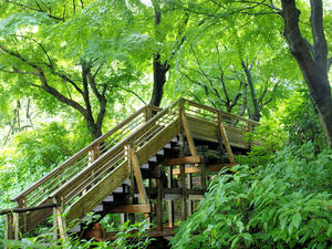 20100712_363shuusei.jpg
