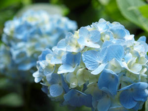 20100712_366shuusei.jpg