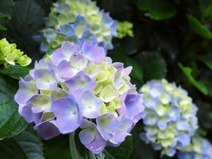 20100712_368shuusei.jpg
