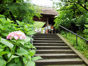20100712_374shuusei.jpg