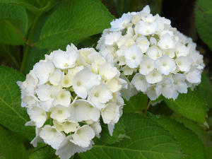 20100712_380shuusei.jpg