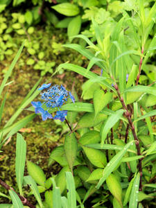 20100712_381shuusei.jpg