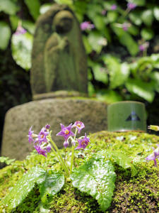 20100712_398shuusei.jpg