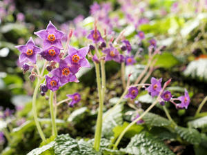 20100712_404shuusei.jpg